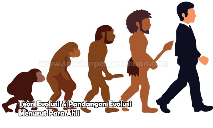 Teori Evolusi & Pandangan Evolusi Menurut Para Ahli