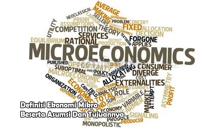 Definisi Ekonomi Mikro Beserta Asumsi Dan Tujuannya