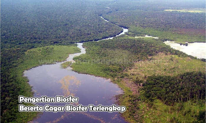 Pengertian Biosfer Beserta Cagar Biosfer  √ Pengertian Biosfer Beserta Cagar Biosfer (Pembahasan Lengkap)