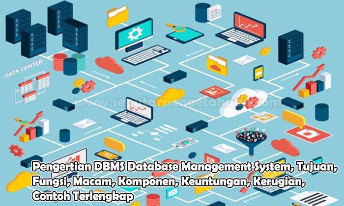 Pengertian DBMS Database Management System, Tujuan, Fungsi, Macam, Komponen, Keuntungan, Kerugian, Contoh