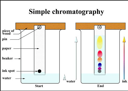 Pengertian Kromatografi, Jenis Kromatografi Dan Penjelasan