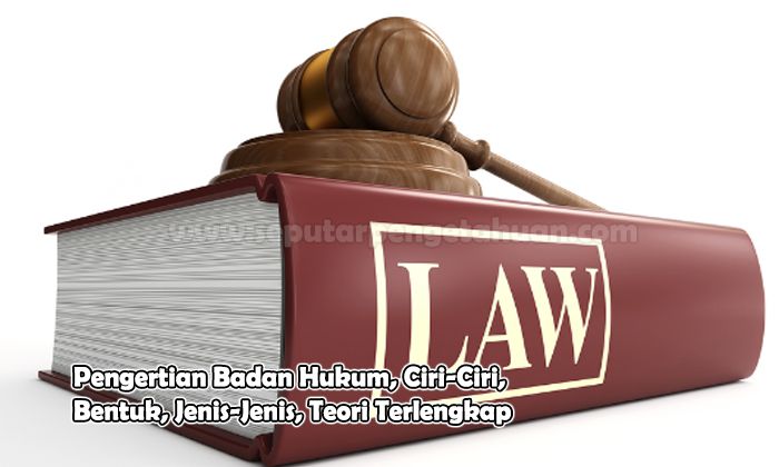 Pengertian Badan Hukum, Ciri-Ciri, Bentuk, Jenis-Jenis, Teori