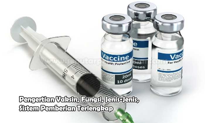 Pengertian Vaksin, Fungsi, Jenis-Jenis, Sistem Pemberian Terlengkap