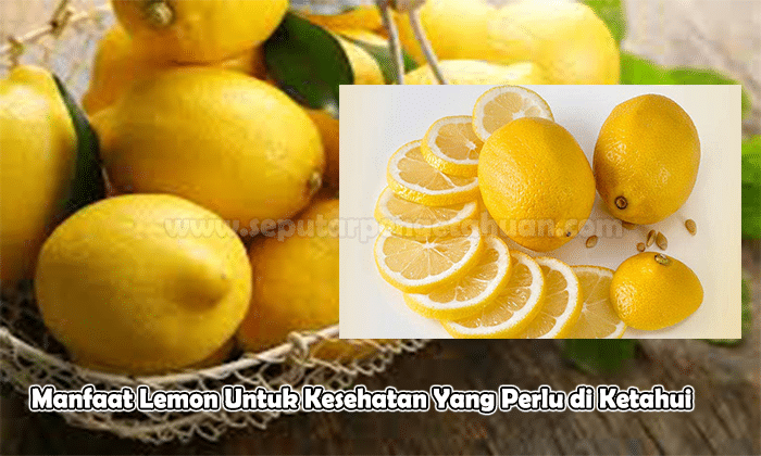 Manfaat Lemon Untuk Kesehatan Yang Perlu di Ketahui