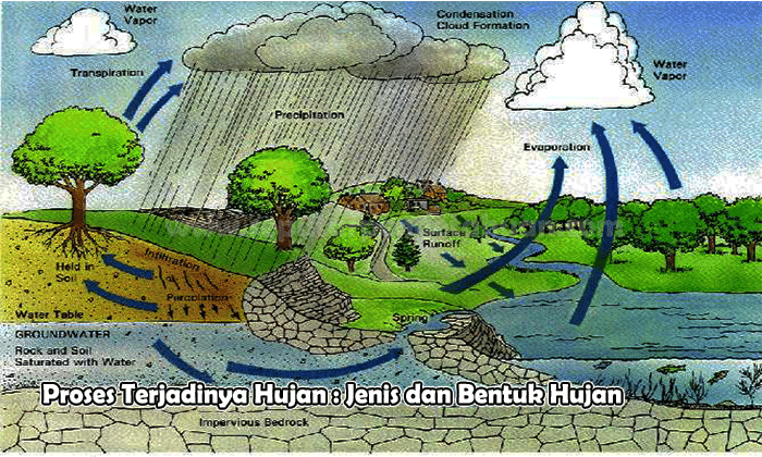 Proses Terjadinya Hujan : Jenis dan Bentuk Hujan